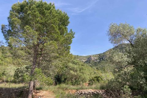 Landejendom i El Perello, Tarragona, El Perello - € 74.000 | Ref: FincaVistaValle - foto 6